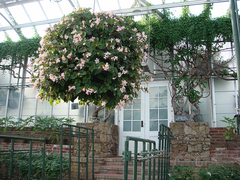 348 Longwood Gardens [2008 August 23].JPG - Longwood Gardens in Pennsylvania